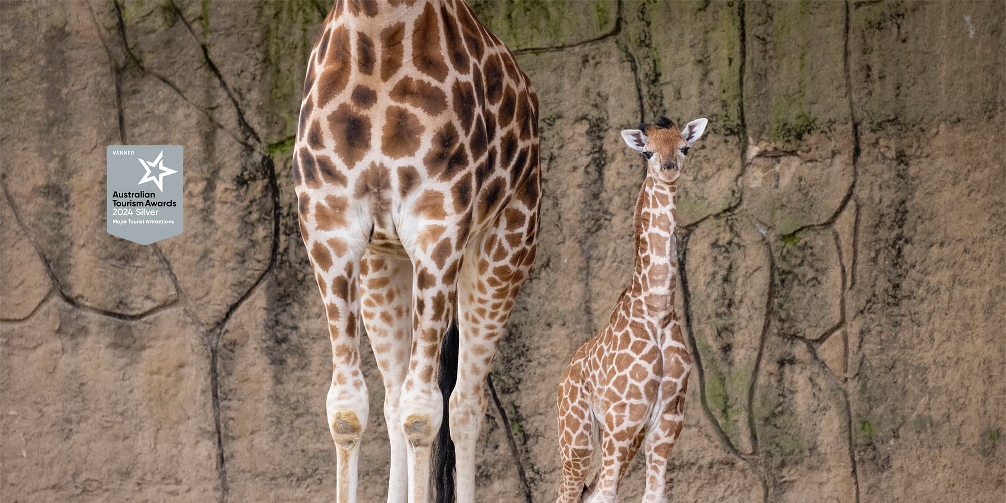 Melbourne Zoo
